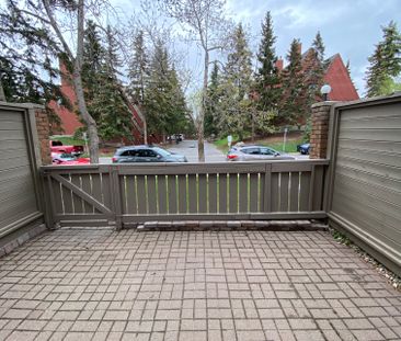 Spacious 3-Bedroom Townhouse in Coach Hill | $2,300 | Available Sep... - Photo 6