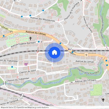 Chemin du Cap 1, 1006 Lausanne