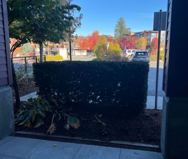 MARKET WAY APTS - 101 - MW101 - Photo 2