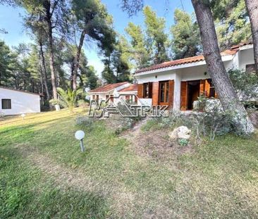 Μονοκατοικία για ενοικίαση Σανή (Κασσάνδρα) - Photo 1