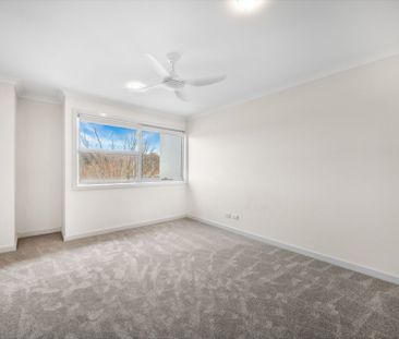 Crace - Photo 2