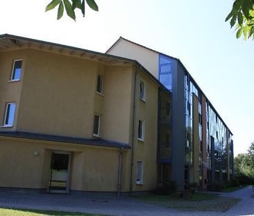 Im besten Alter eine Wohnung bei VIVAWEST - Wohnen ab 60. - Photo 1