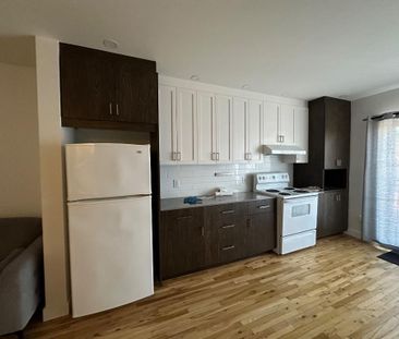 Magnifique appartement 3 1/2 Quartier Rosemont - Photo 1