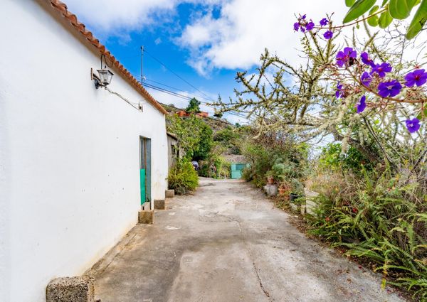 **¡Se Alquila Casa en Agulo, Las Rosas!** – 0067-04335