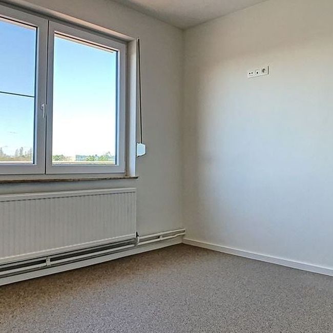 Appartement te huur in Tessenderlo voor € 770 met 1 slaapkamer - Foto 1