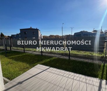 Rybnik, Śródmieście - Zdjęcie 6