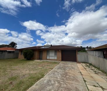 193 Kenwick Road, Kenwick, WA 6107 - Photo 4