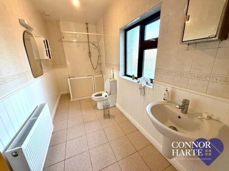 230 Barony Road, Creggan, Omagh, BT79 9AQ - Photo 2