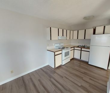 Pet Friendly 2 Bedroom, 1 Bathroom Apartment - Photo 1