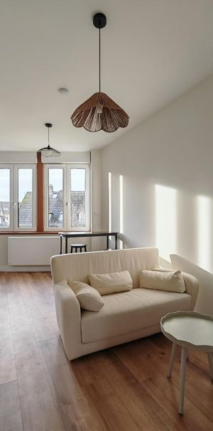 Location Appartement 1 pièce 25m² STRASBOURG 67200 - Photo 1