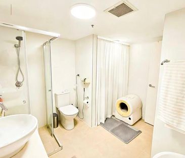 Modern North-Facing Apartment with Study for Rent - Photo 3