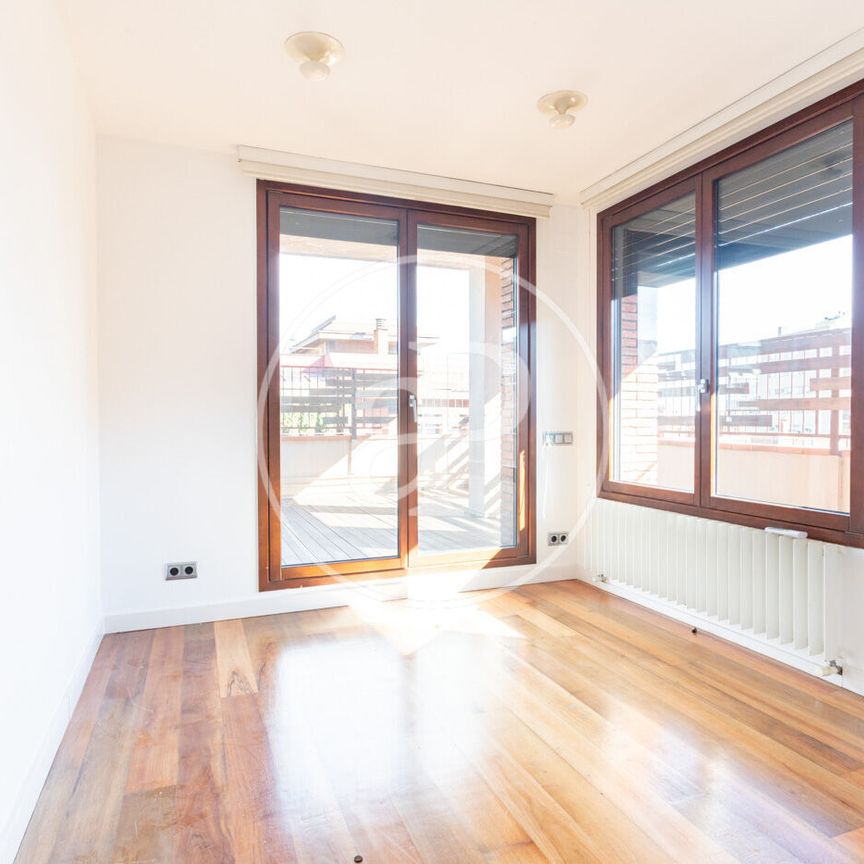 Penthouse for rent on Dr. Roux Street - Photo 1