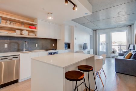 Appartement à louer, Montréal (Rosemont/La Petite-Patrie) - Photo 5