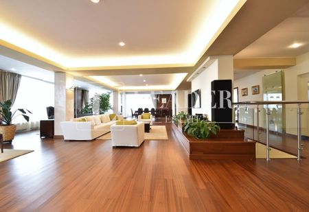 Penthouse spectaculos I Herastrau - Photo 4