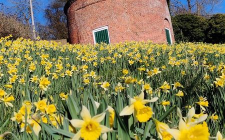 Mordiford, Hereford - Photo 5