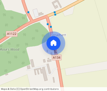 Stradsett, King's Lynn, PE33 - Photo 1