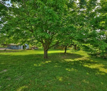 For Lease - 3305 Nineteenth Street, Lincoln, Ontario - Photo 4