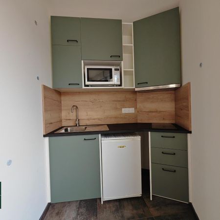 Location Appartement 1 pièce 25m² STRASBOURG 67200 - Photo 3