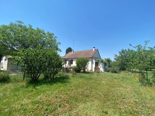 Maison en location à Onzain. - Photo 1