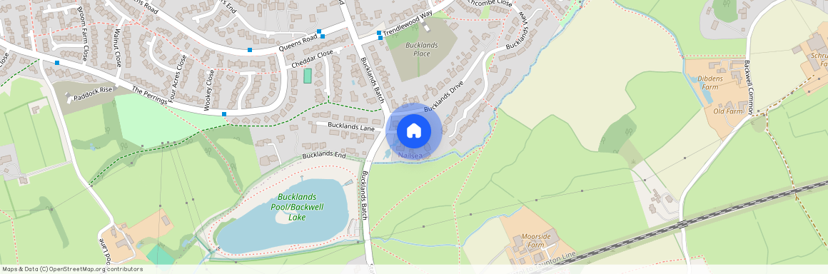 Bucklands Grove, Nailsea, North Somerset, BS48