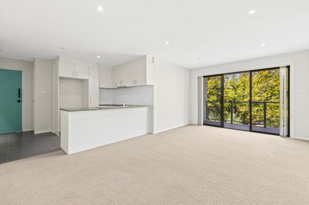 Picture Perfect - Photo 1