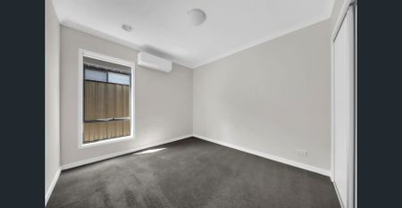 Family Entertainer! - Photo 4