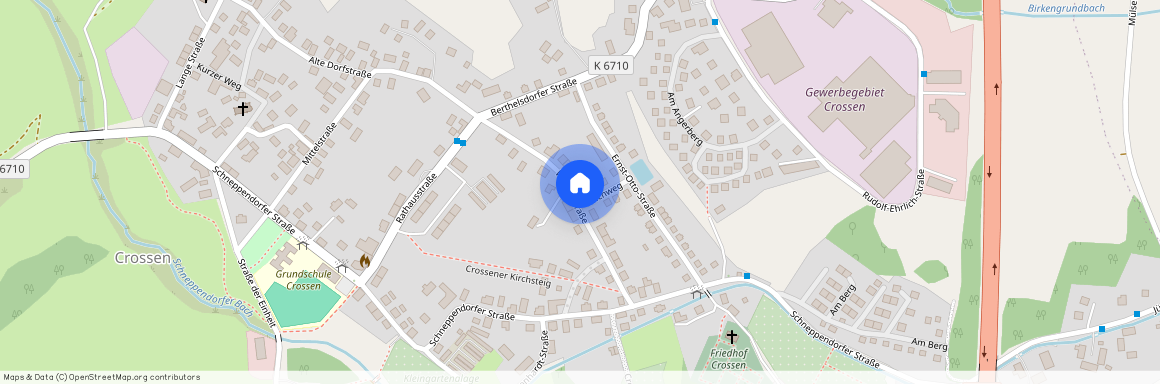 Weidenstraße 11, 08058 Zwickau