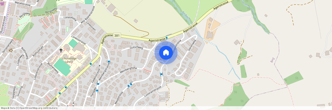 Lüssirainstrasse 8, 6300 Zug