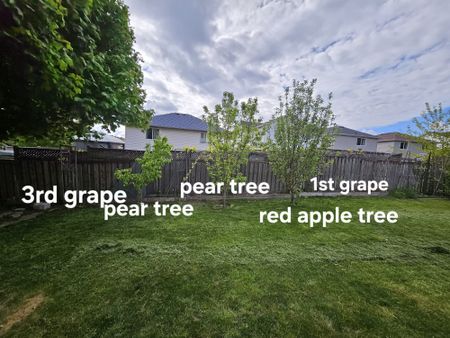 For Lease - 72 Niagara Drive, Oshawa, Ontario - Photo 2