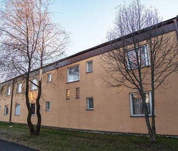 Tuvullsgränd 8 A, 94332, Öjebyn - Photo 5