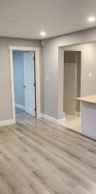 1 bedroom Basement Suit - Photo 1