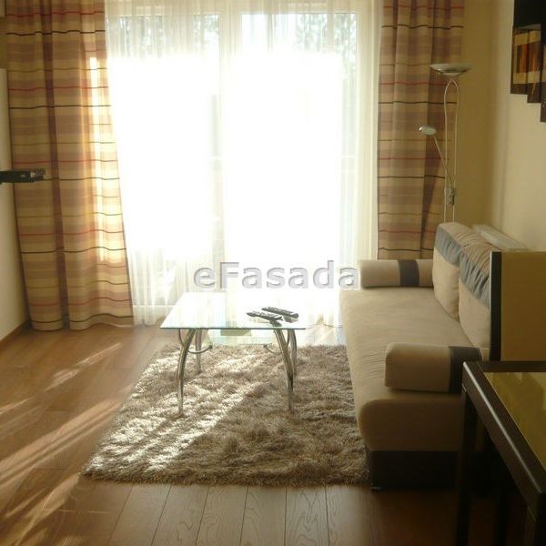 EFS-MW-75 Mieszkanie na wynajem - Photo 1