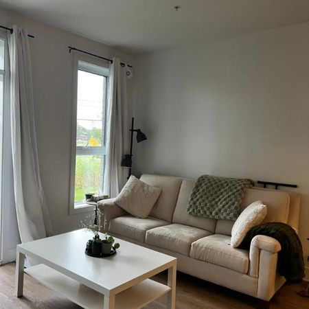 Grand 3 1/2 à louer Beloeil Animaux acceptés - Photo 4