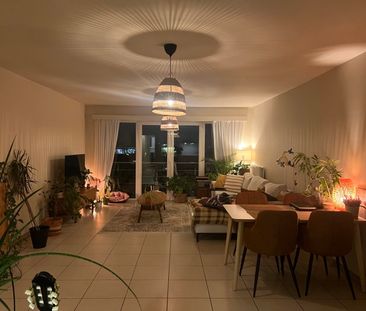 Appartement te huur in Deinze - Photo 1