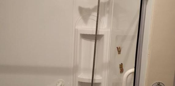 Magnifique et Grand appartement 4 1/2 - Photo 2