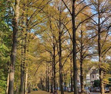 Schöne helle 2-R-Whg mit Balkon,barrierearm,TGSP - Schloßchemnitz - Photo 5