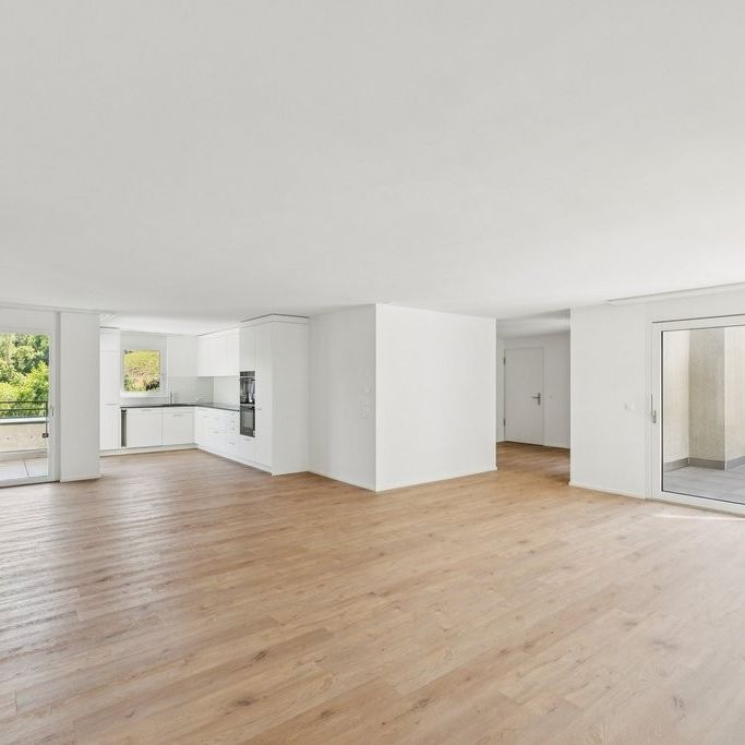 ERSTVERMIETUNG - exklusive Attikawohnung mit 3 Terrassen - Foto 1