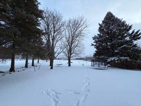 For Lease - 2881 Doane Road, East Gwillimbury, Ontario - Photo 2