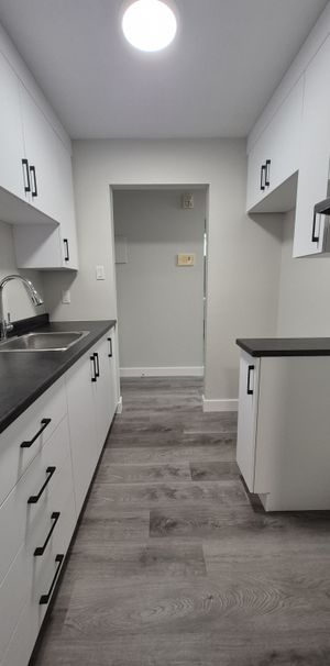 PREMIER MOIS GRATUIT! Appartement 2 Cha - Photo 1