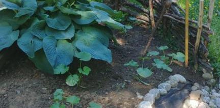 5 1/2 foyer tout inclus (wifi et hydro) terrain bordé d'un étang - Photo 2