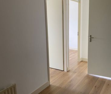 Hermelijnvlinder 49, Vlindertuin, 1113LC, Diemen - Foto 4