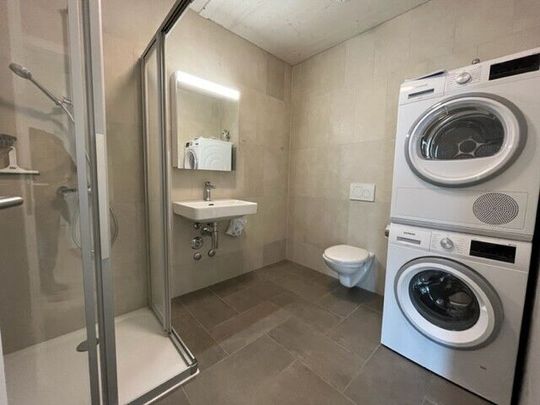 LE TICLE : Appartements neufs à louer - Photo 1