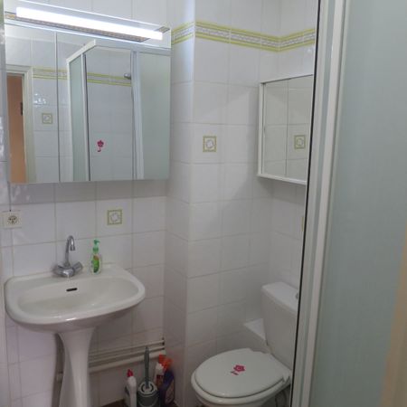 Location Appartement 1 pièce 24m² - Photo 4