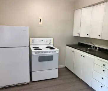Wilson Apartment - 901 7th Avenue North — 1 Bedroom - Photo 4