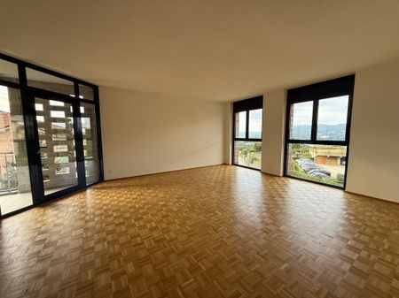 Beautiful 4.5 loc. in very convenient quiet location with views of the vineyards - Photo 3