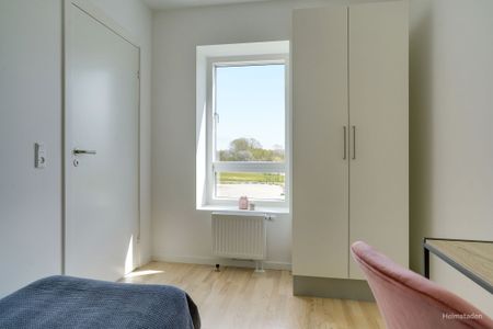 Moderne lejebolig i Odense M med fælles tagterrasse - perfekt til den studerende/delebolig - Photo 3