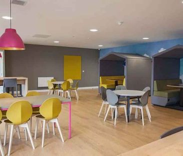 Studio Gold - Photo 3