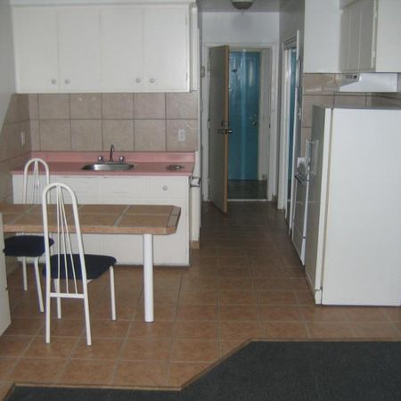 1 1/2 - Montréal (Le Plateau Mont-Royal) - 1 150 $/mois - Photo 3