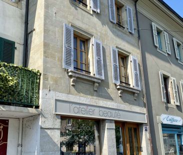 Appartement meublé 2 pièces | Chêne-Bourg - Photo 3
