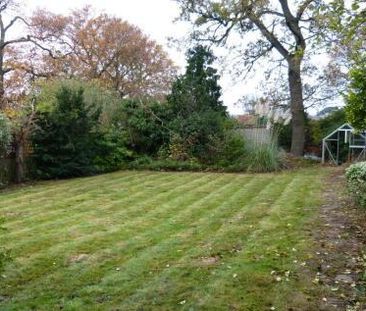 Studio to rent - Photo 5